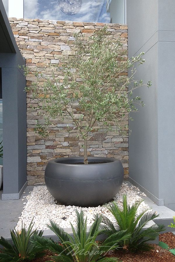 Extra large outdoor pots Huge Planters, Outdoor Pots And Planters, Prairie Planting, Pots Garden, Courtyard Gardens Design, Trough Planters, Pots And Planters, Dry Garden, Garden Screening