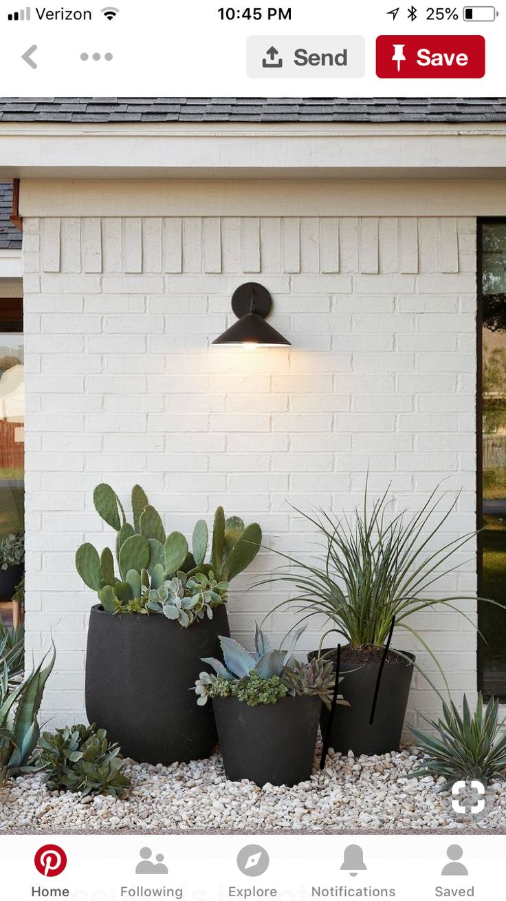 some plants are sitting in front of a white brick wall with a light on it