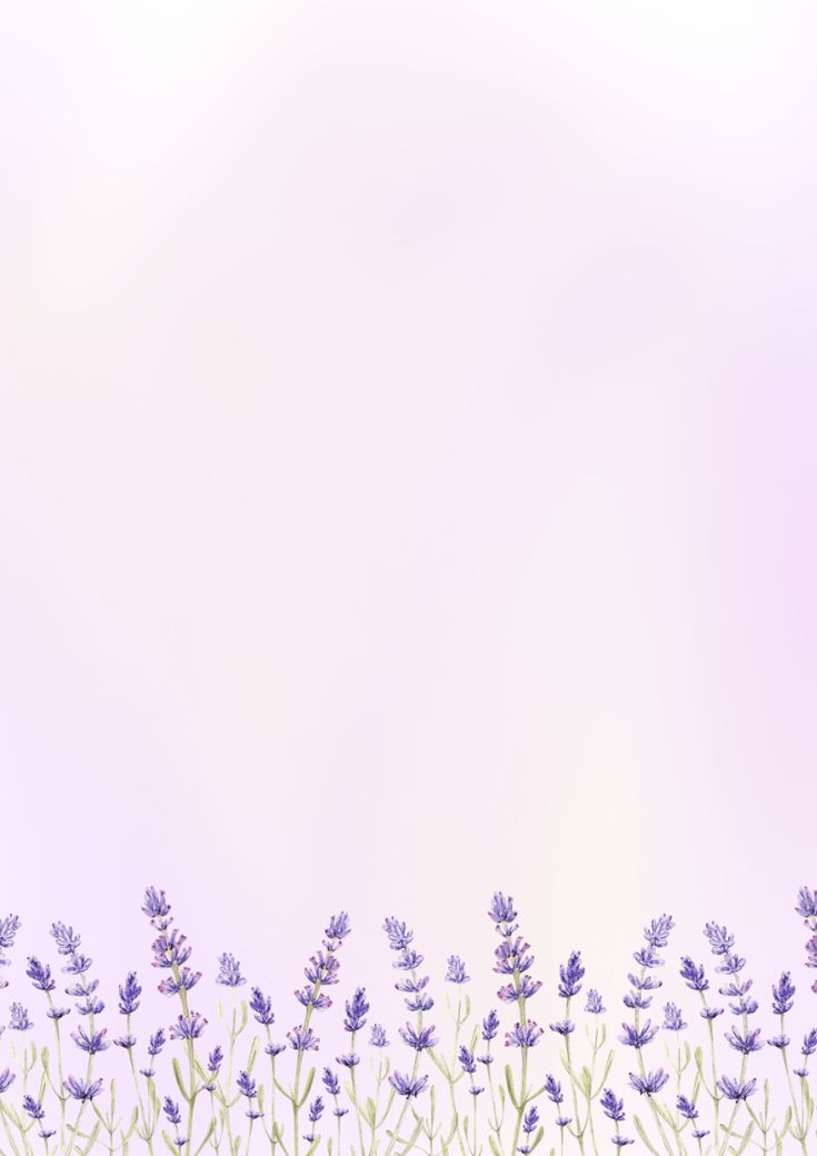 lavender flowers are in the foreground with a pastel pink sky behind them and an empty space for text