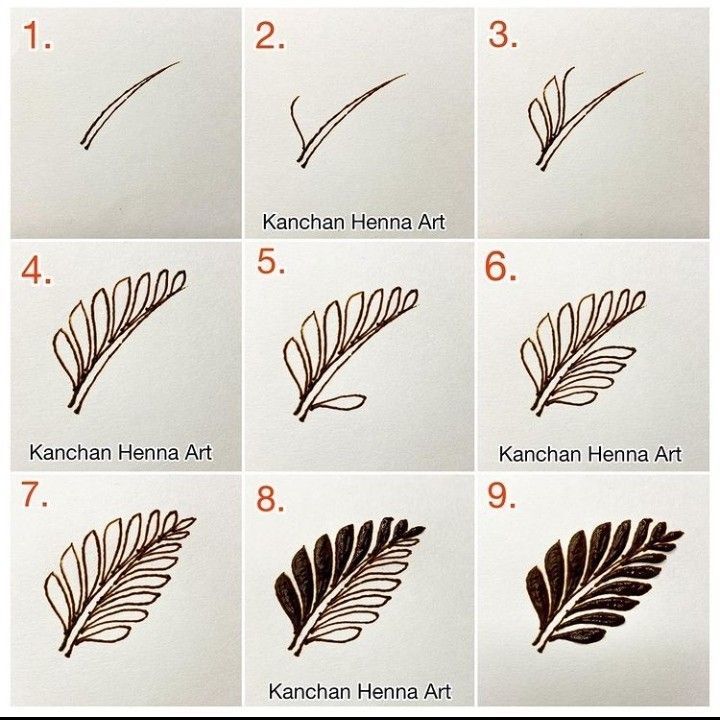 the instructions for how to draw leaves on paper