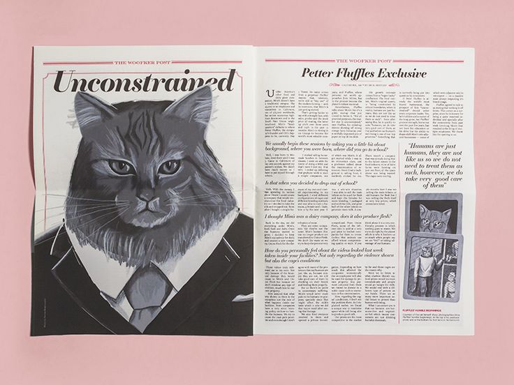 an open magazine with a cat in a suit and tie