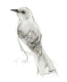 a drawing of a bird sitting on top of a tree branch in front of a white background