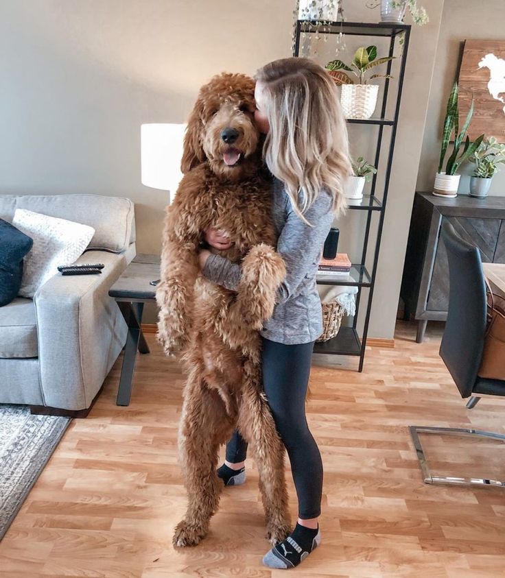 a woman hugging her dog in the middle of a living room with wood flooring