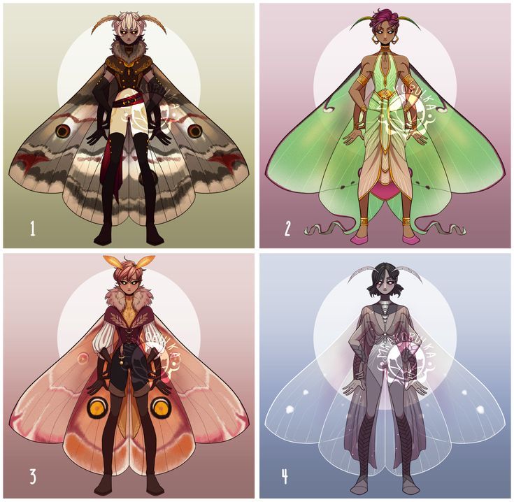 four different types of butterflies and moths, each with their own female character's body