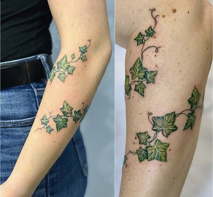 two photos side by side one with green leaves on it and the other with ivy