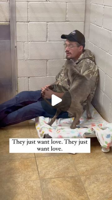 a man sitting on the floor with his dog in front of him and an ad that reads they just want love they just want love