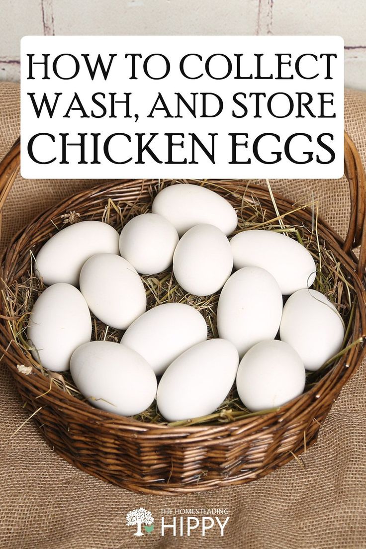 a basket filled with white eggs sitting on top of a table next to a sign that says, how to collect wash and store chicken eggs