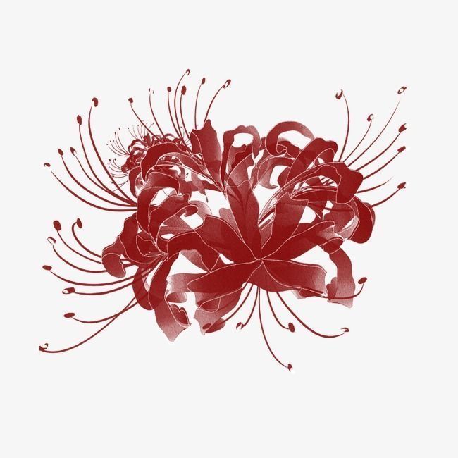 an abstract red flower on a white background