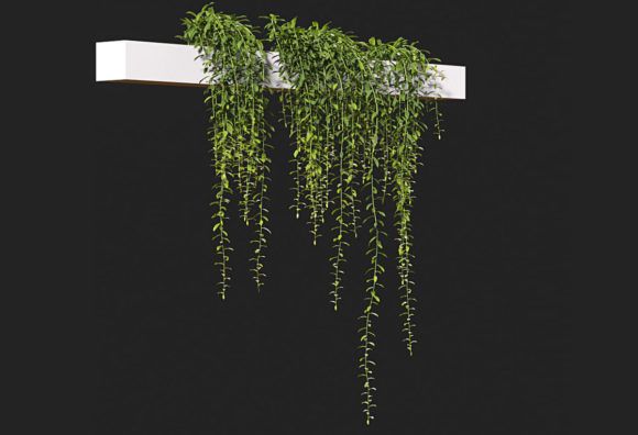 a plant hanging from the side of a white shelf in front of a black wall