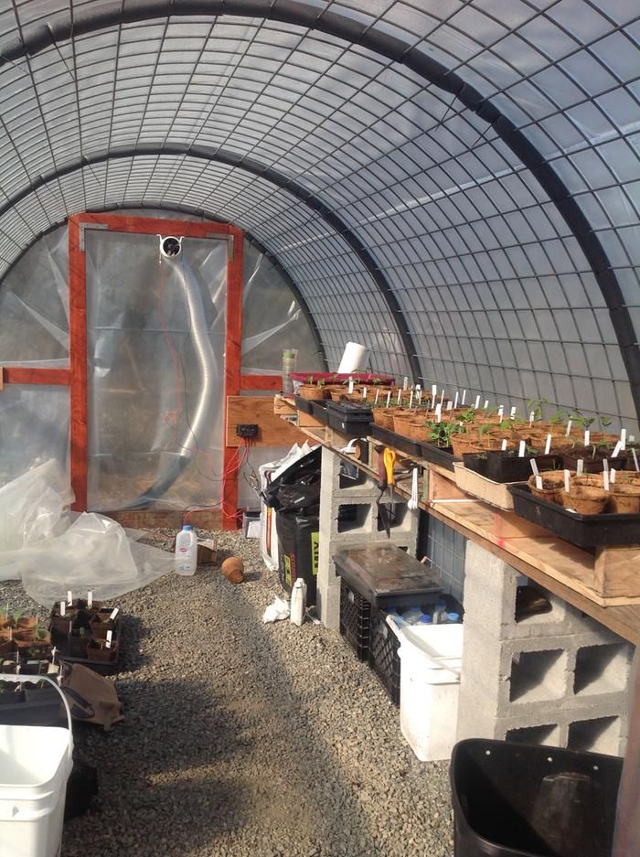 the inside of a greenhouse with several plants growing in pots and containers on the tables