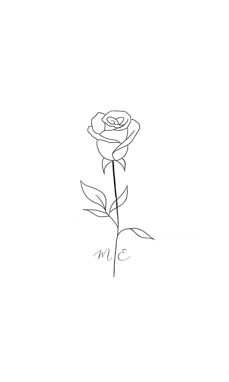 a drawing of a single rose on a white background