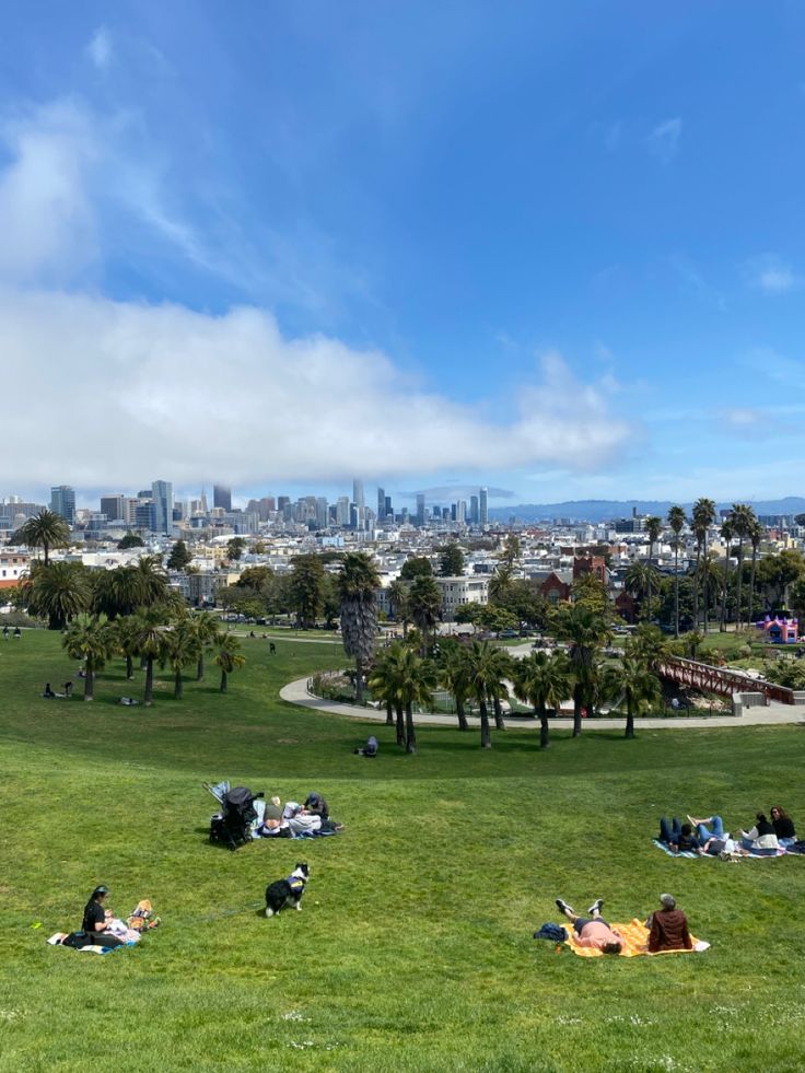 people are laying on the grass in a park