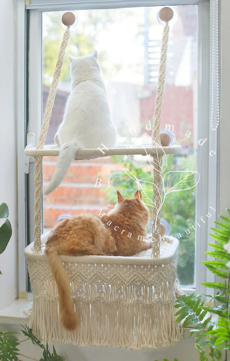 two cats are sitting in a hammock looking out the window at each other