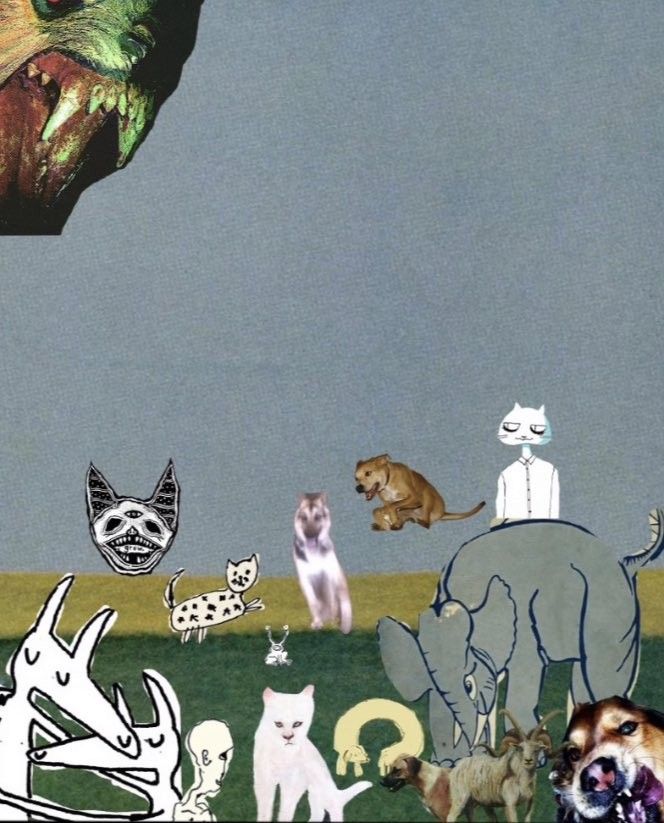 there are many cats and dogs in this collage with the same image on it