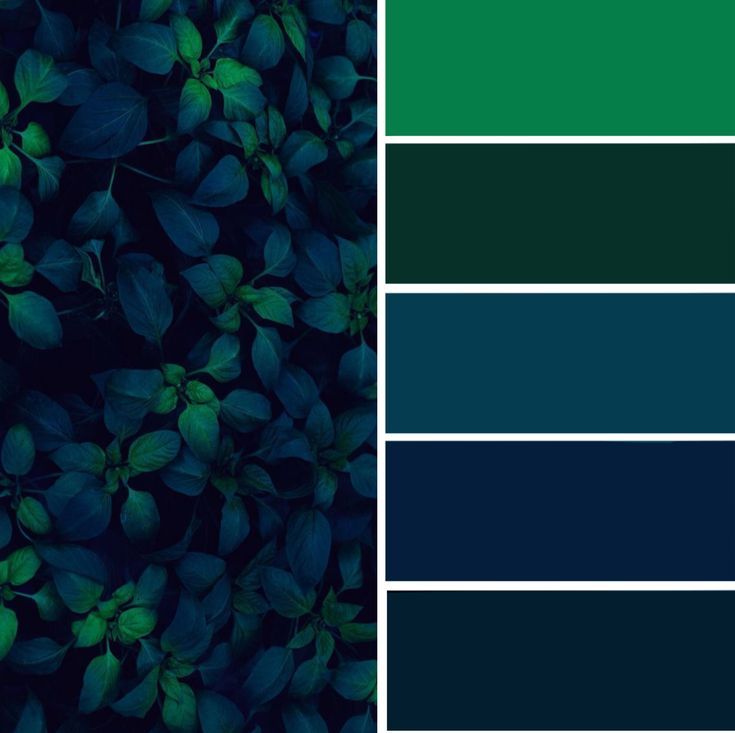 green and blue color palettes with leaves in the middle, on top of each other