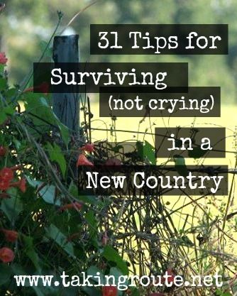 31 Tips for Surviving (not crying) in a New Country | Taking Route ...a hilarious series full of stories from expats about lessons they learned while living abroad #expat #lifeabroad #livingoverseas Live Abroad, Moving To Italy, Teach Abroad, Moving Abroad, Moving Overseas, Digital Nomad Life, Moving To The Uk, Life Abroad, Work Abroad