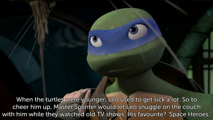 an image of a turtle with a caption from the movie teenage mutant