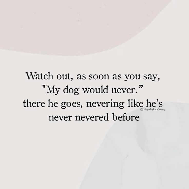 a quote that reads watch out, as soon as you say, my dog would never there he goes, never like he's never needed before