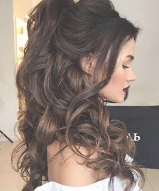 voluminous half ponytail half up half down wedding hairstyles Long Ponytail Hairstyles, Curly Prom Hair, Formal Hairstyles For Long Hair, Quinceanera Hairstyles, Prom Hairstyles For Long Hair, Wedding Hair Down, Wedding Hairstyles For Long Hair, Wedding Hair And Makeup, Hair Pictures