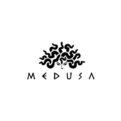 the logo for medusa, an artisan brand that has been designed by person