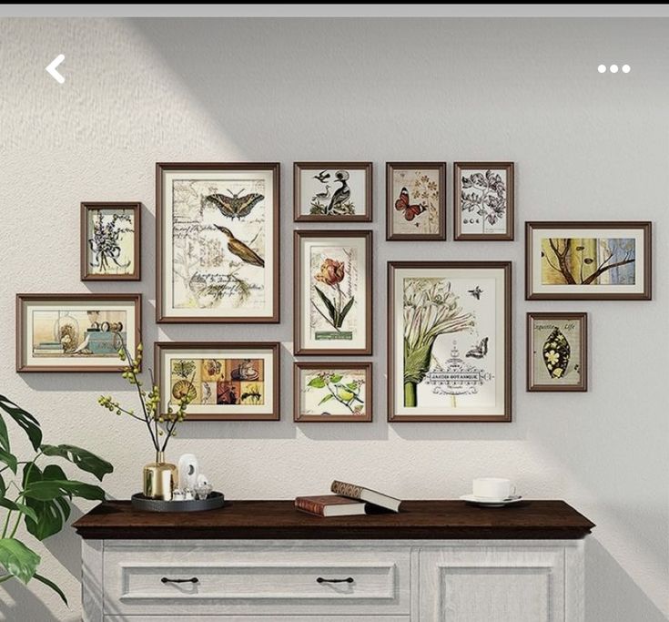 there are many framed pictures on the wall next to a white cabinet with drawers and a potted plant