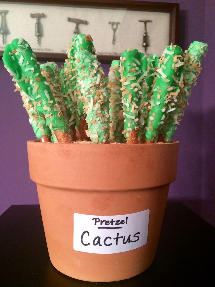 there is a potted cactus with green sprinkles on it and the name pretzel cactus