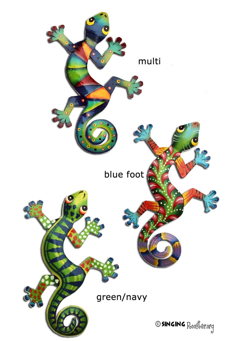 three different types of geckos are shown in this graphic style, each with different colors