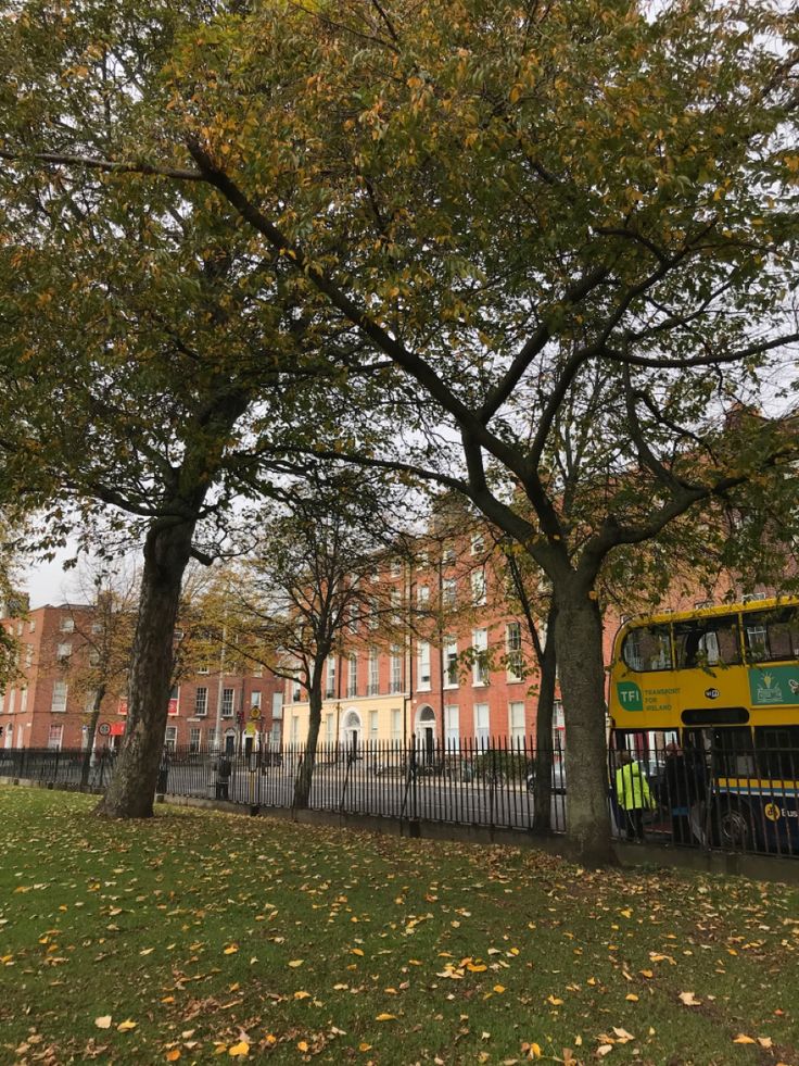 a yellow double decker bus parked in front of a tall tree with leaves on the ground