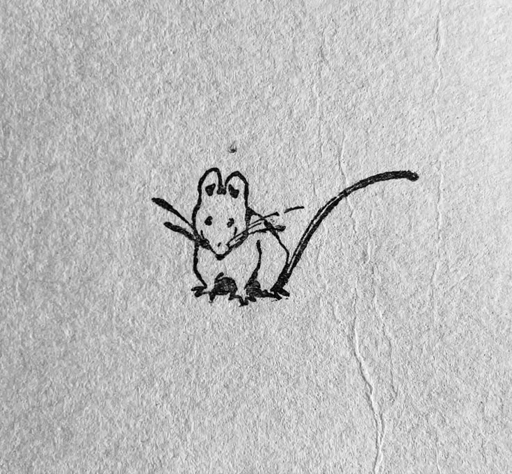 a drawing of a mouse on white paper