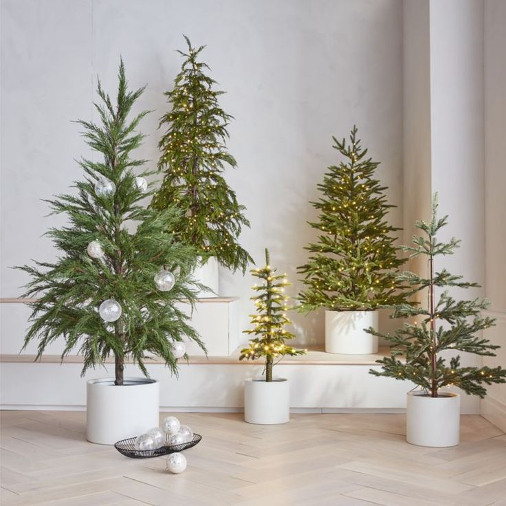 three small christmas trees in white planters on a wooden floor next to a wall