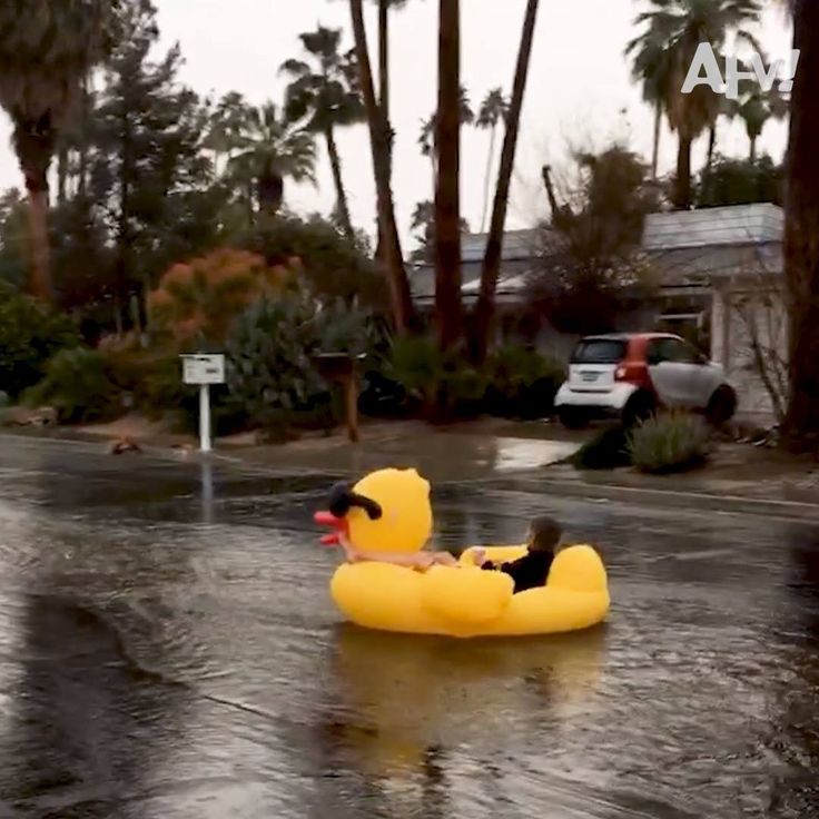 an inflatable rubber ducky floats down a flooded street with palm trees behind it