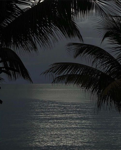 the moon is setting over the ocean with palm trees