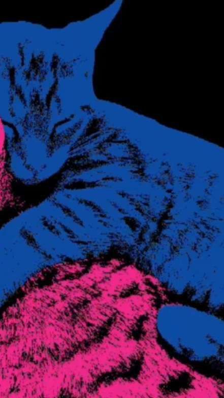 a cat sleeping on top of a blue and pink blanket next to a red object