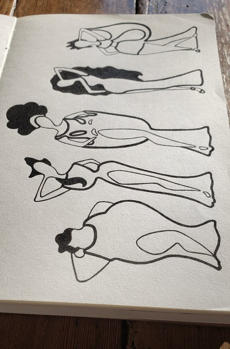 an open book with black and white drawings on the pages, depicting different types of women's body shapes