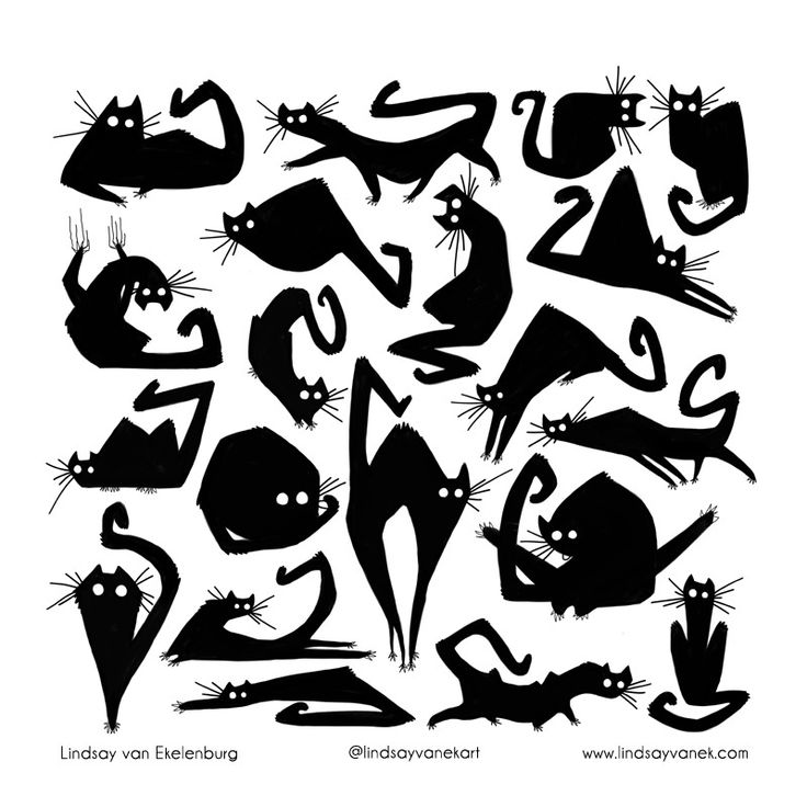 black and white silhouettes of cats with different shapes, sizes and colors on them