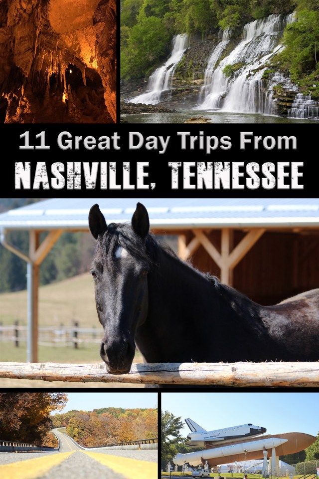 there is a horse that is standing in front of a waterfall and the words 11 great day trips from nashville, tennessee