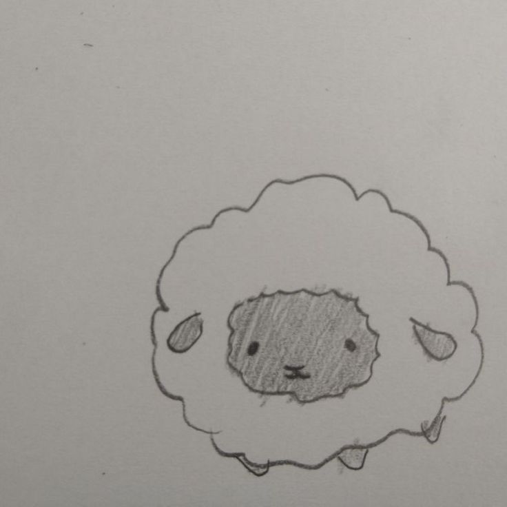 a drawing of a sheep is shown on the paper