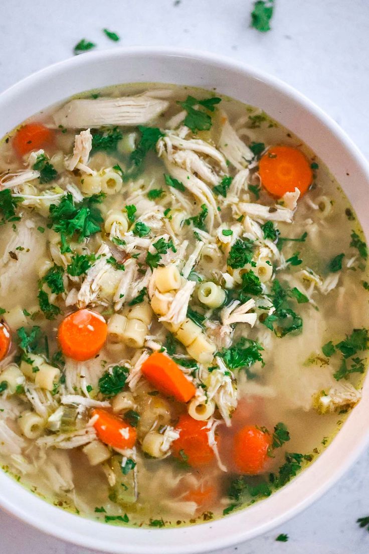 a bowl of chicken noodle soup with carrots and parsley