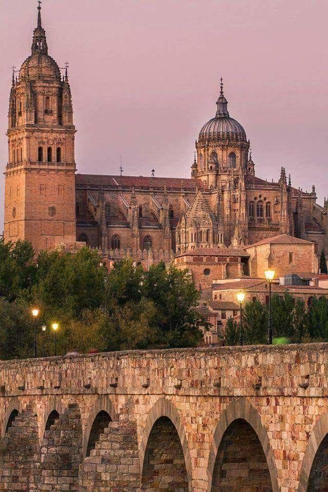 an old stone bridge crosses the river in front of a cathedral