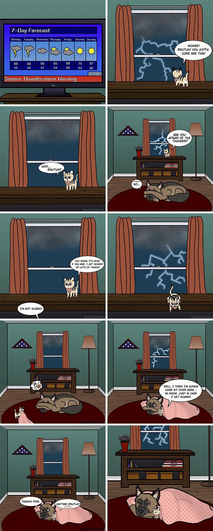 the comic strip shows how cats are watching tv