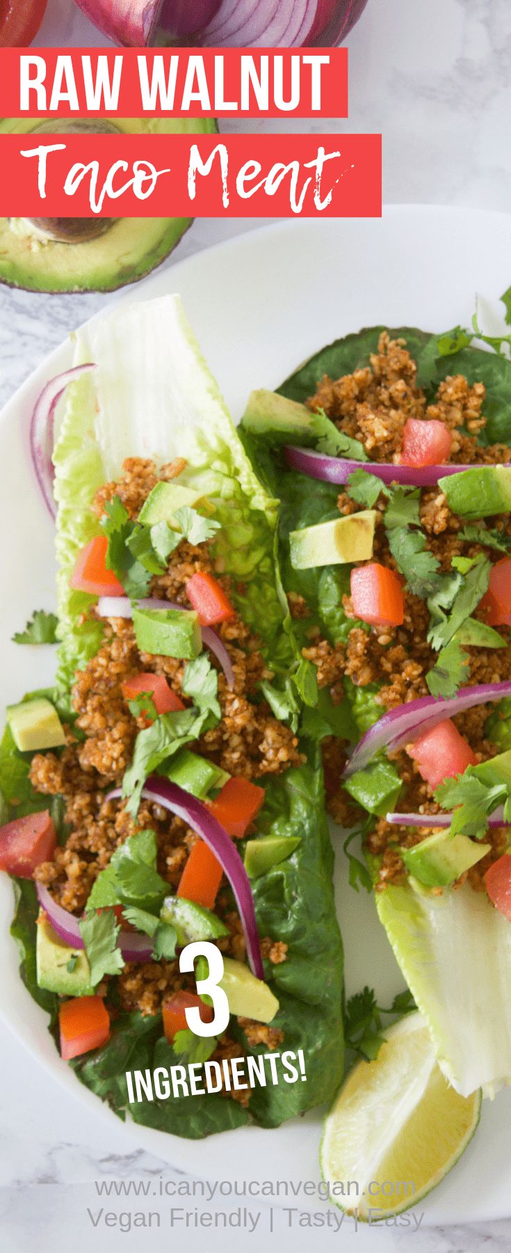 raw walnut taco meat lettuce wraps with red onions and cilantro