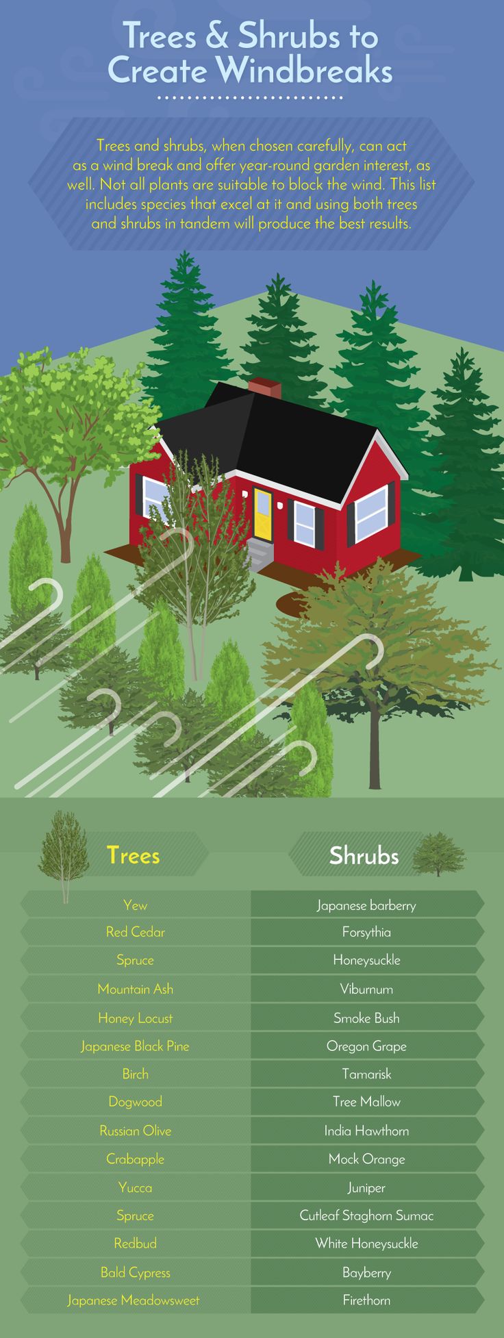 an info sheet showing the different types of trees and shrubs