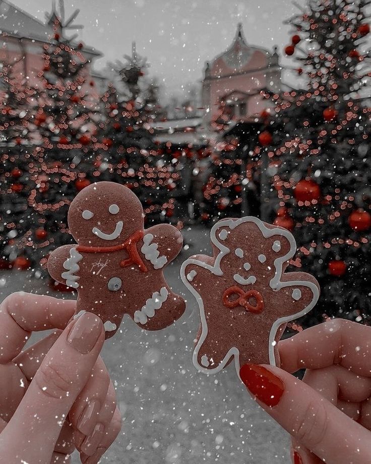 two people holding up gingerbreads in the snow