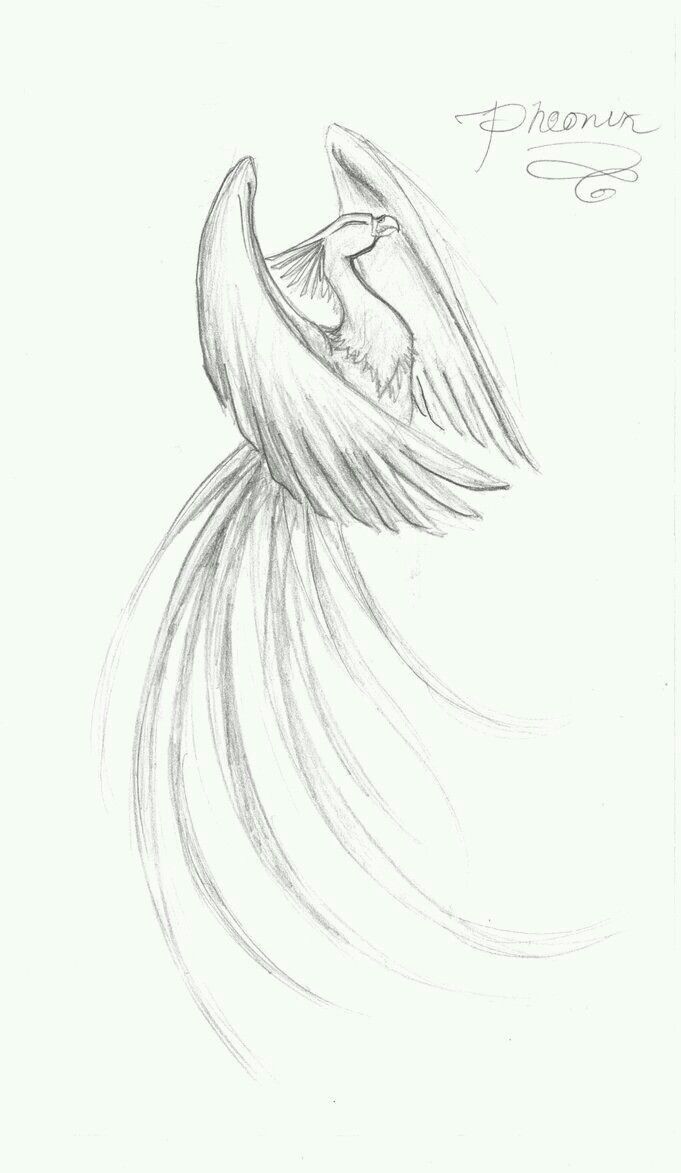 a pencil drawing of an angel with wings