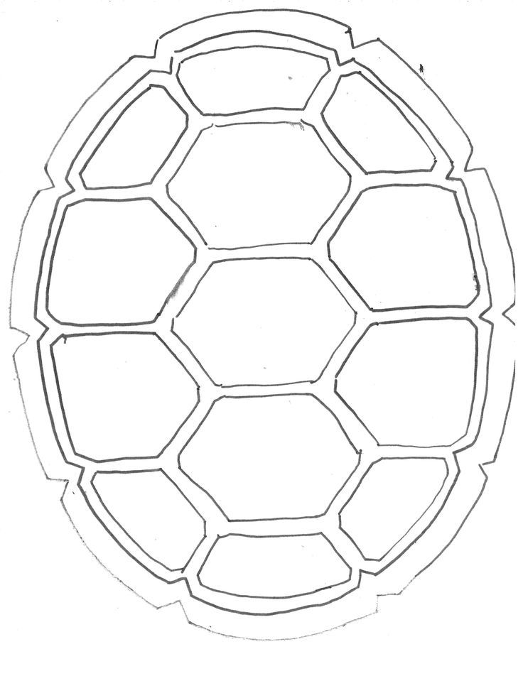 a drawing of a turtle's shell