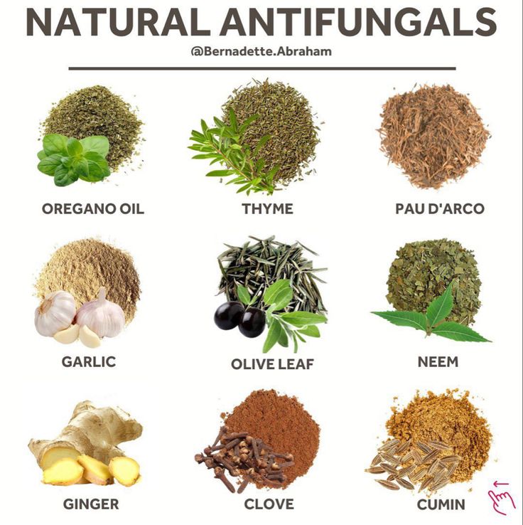 Antifungal Foods, Anti Fungal Diet, Medicinal Herbs Remedies, Herbs Remedies, Natural Antifungal, Medicinal Herbs Garden, Medical Herbs, Food Health Benefits, Natural Healing Remedies