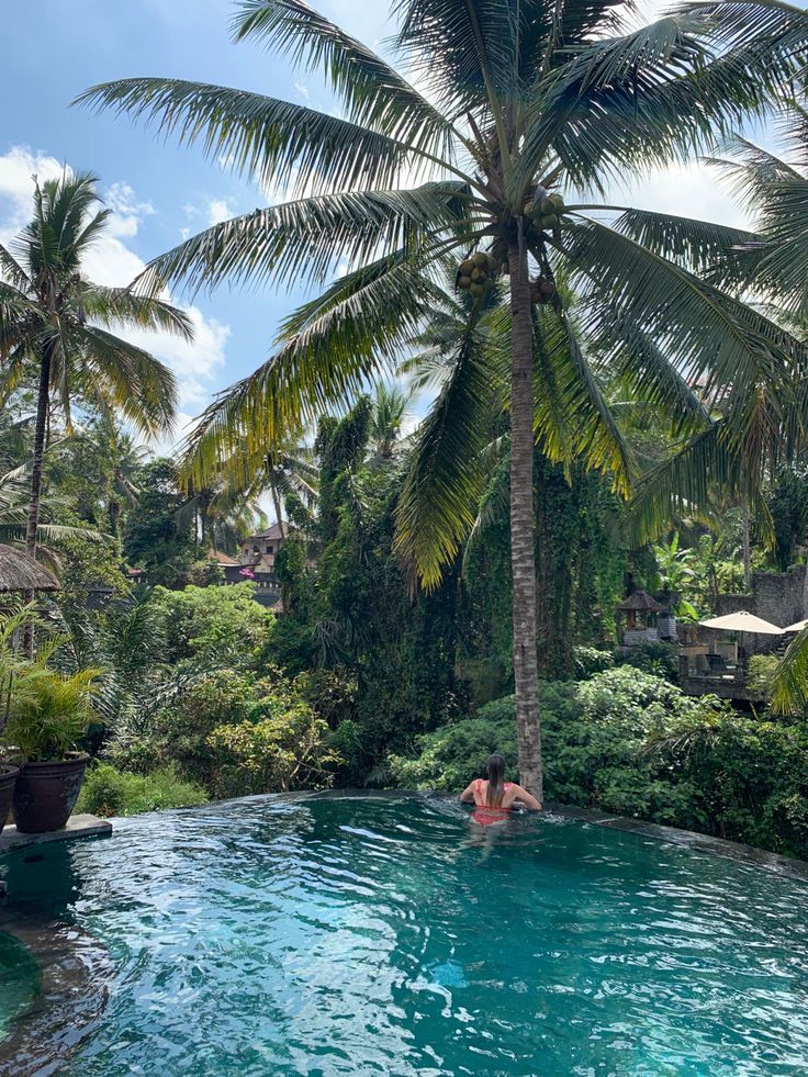 two people are swimming in a pool surrounded by palm trees and other greenery area