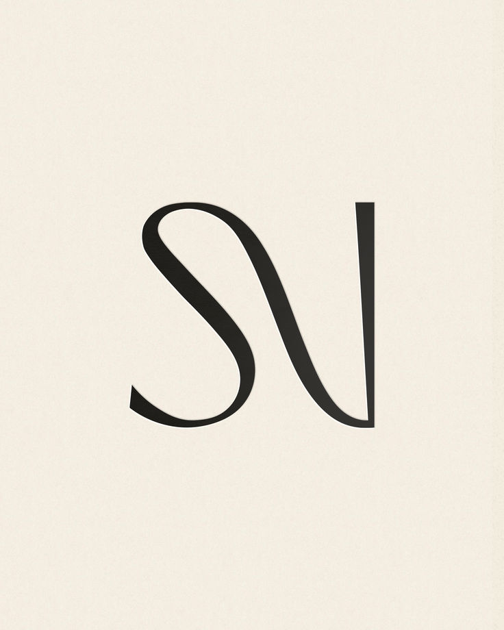 the letter s is made up of black lines and letters that appear to be curved