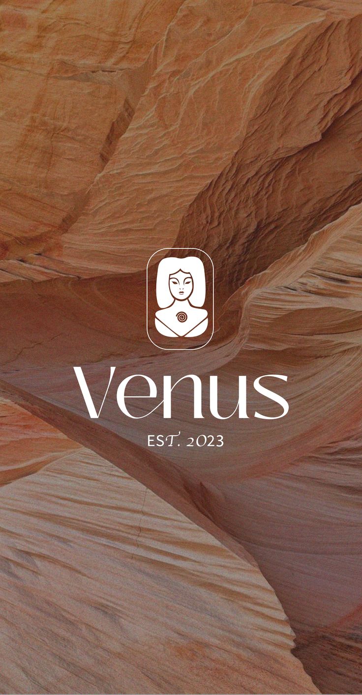 the logo for venus estr 2013 is shown in front of an abstract rock formation