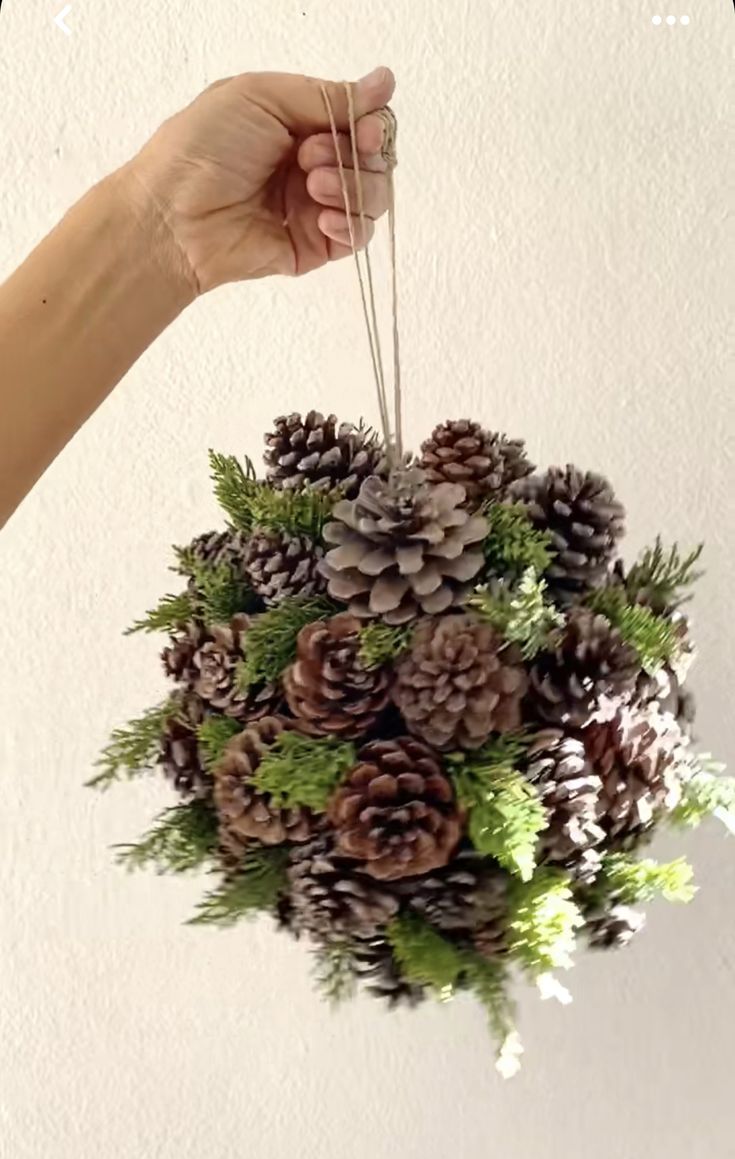 a person holding a bunch of pine cones in the air with greenery on top